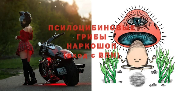 шишки Наволоки