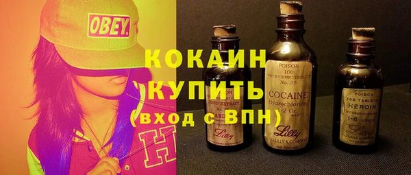 шишки Наволоки