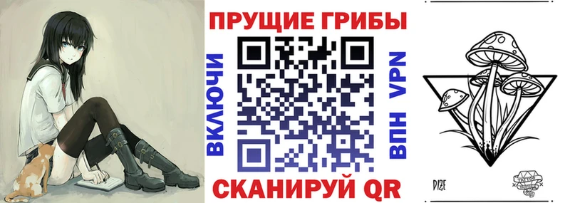 как найти закладки  OMG ССЫЛКА  Псилоцибиновые грибы Magic Shrooms  Озёры 